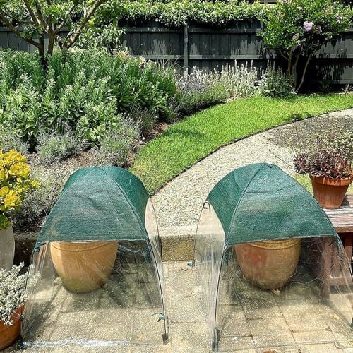 Jack All Weather Plant Cover - 71x71x71cm