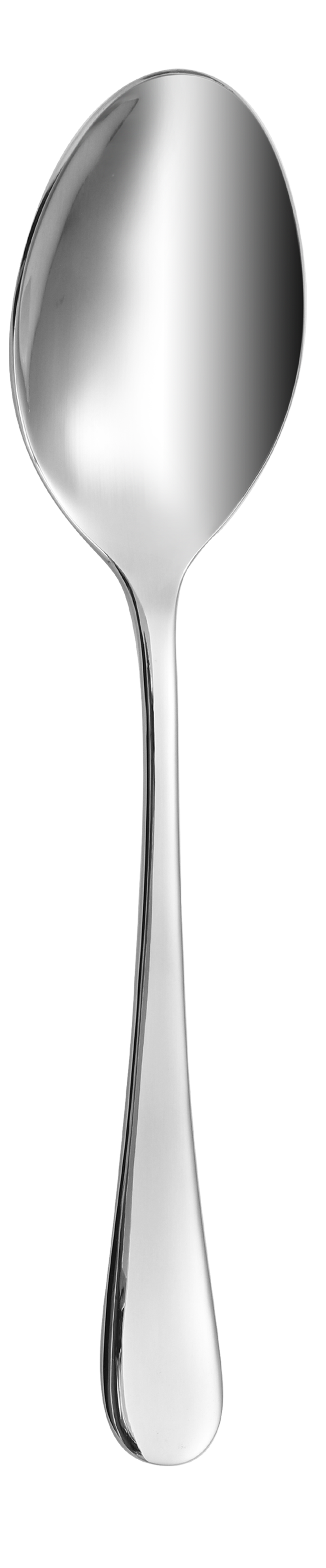 Dolphy Helena Stainless Steel Coffee Spoon 112mm – 12 Pack | 2.2mm Thick Commercial Grade Cutlery for Cafés, Restaurants & Home Use