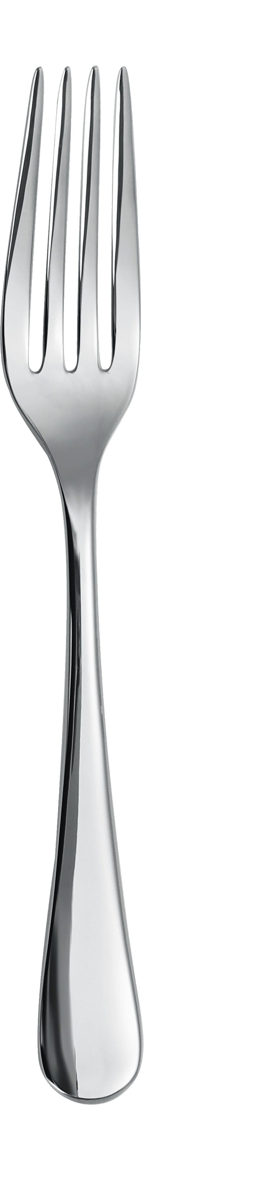 Dolphy Birmingham Stainless Steel Table Fork 201mm – 12 Pack Commercial Grade Cutlery for Restaurants, Cafés & Catering Use