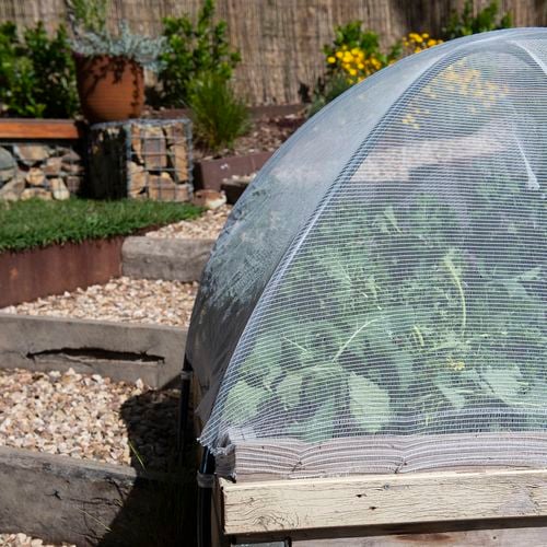 Backyard Farmer Anti Bird Net - 4000x4000x5mm