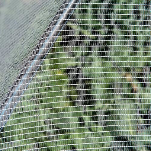 Backyard Farmer Anti Bird Net - 10000x10000x5mm