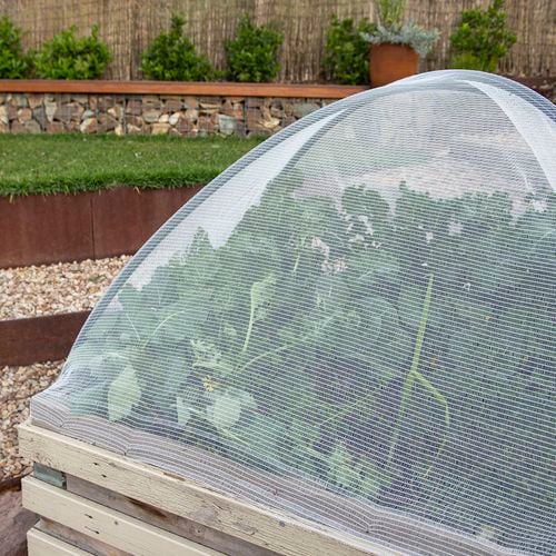 Backyard Farmer Anti Bird Net - 10000x10000x5mm