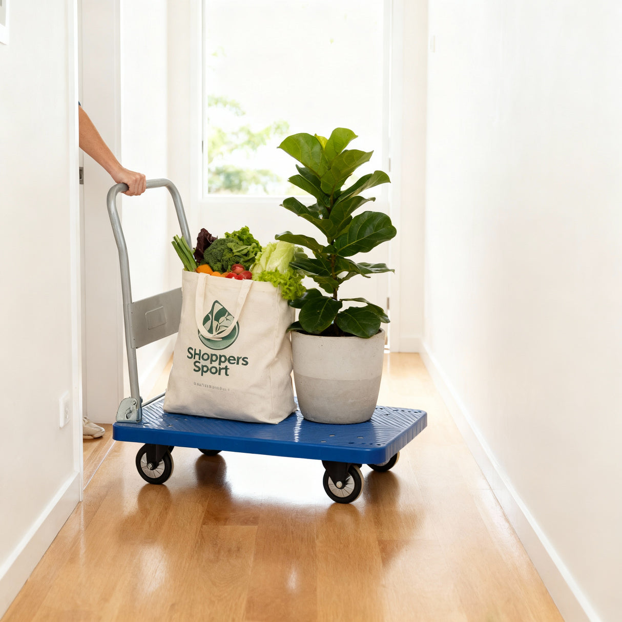 Dolphy Metal and ABS Plastic Luggage Trolley 90x60x90 cm – Blue and Silver Hotel & Airport Cart with Compact Design and Durable Build