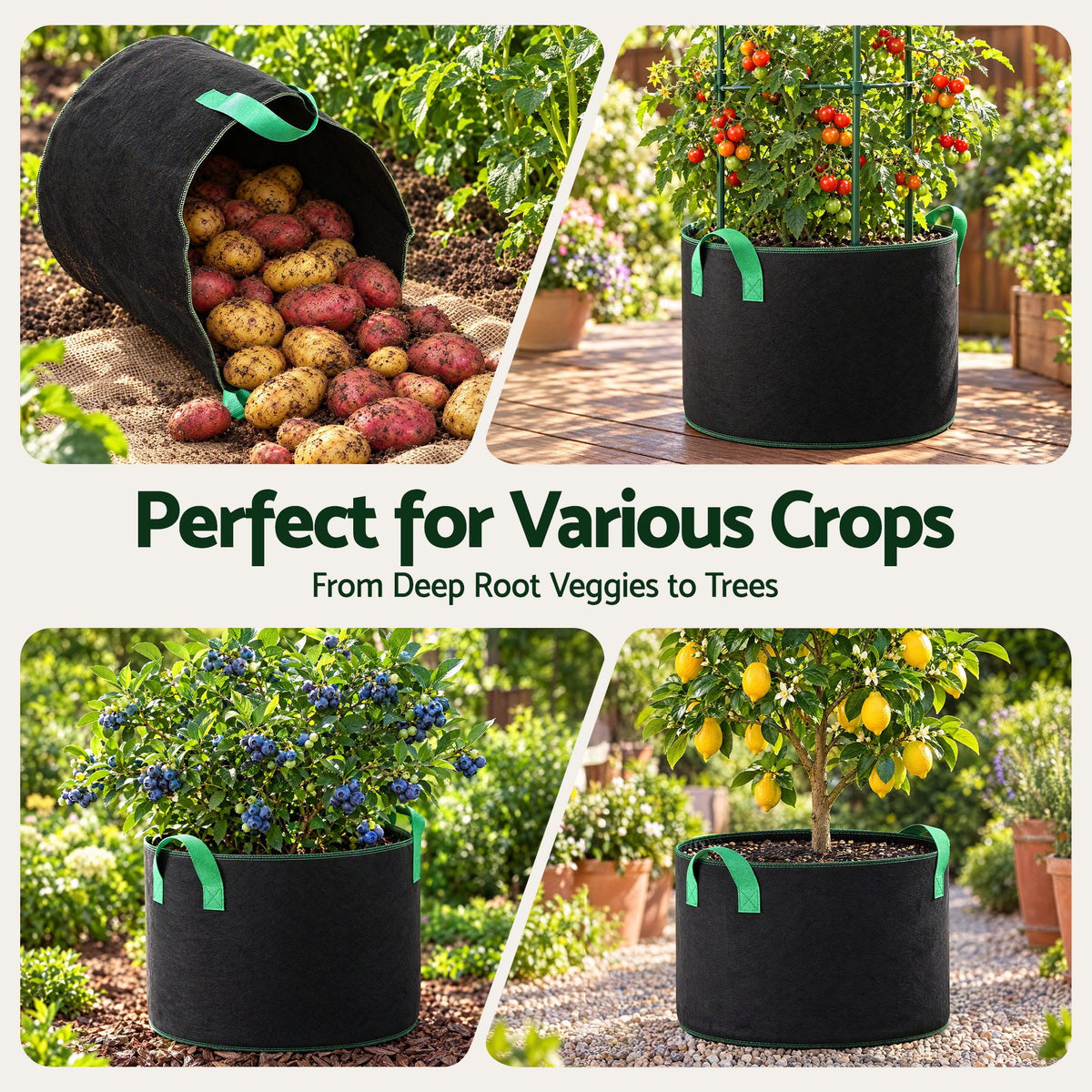 Green Fingers 20 Gallon Grow Bags 300gsm thick Aeration Fabric Pots 10 Pack.