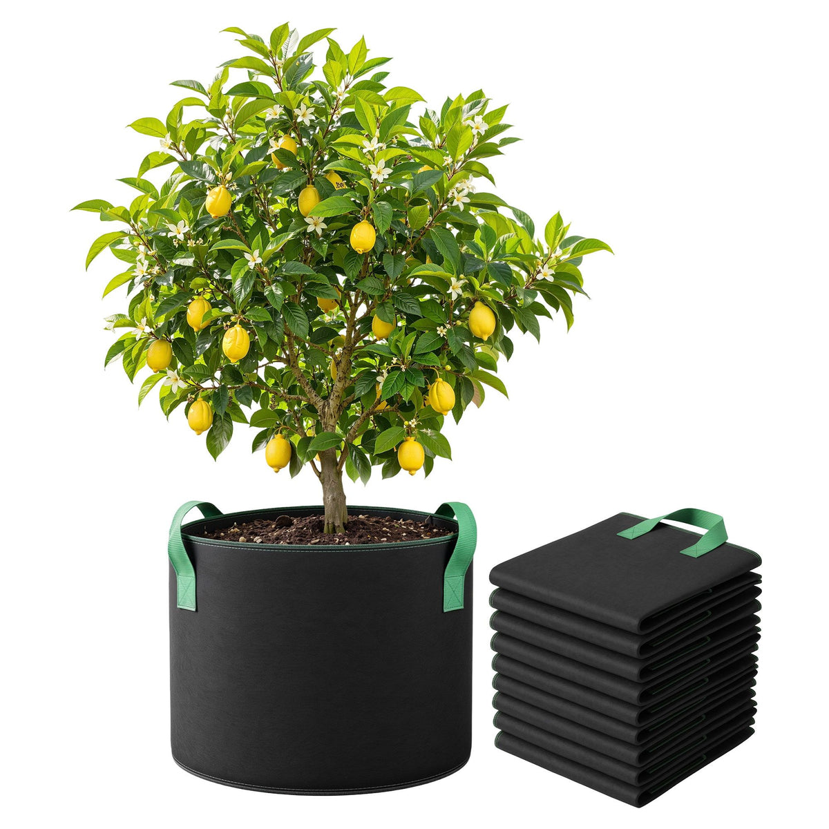 Green Fingers 20 Gallon Grow Bags 300gsm thick Aeration Fabric Pots 10 Pack.