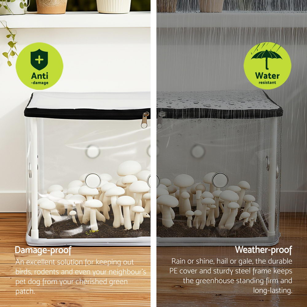 Green Fingers Mini Greenhouse 50x25x25cm PVC Cover for Mushrooms Succulents