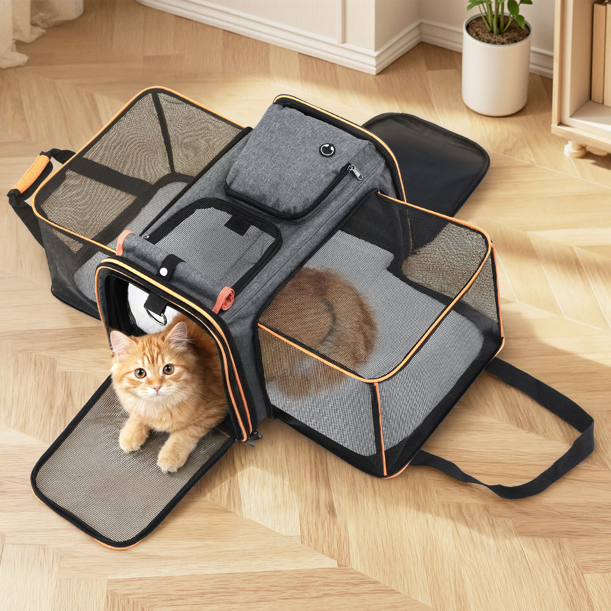 i.Pet expandable pet carrier bag, grey and orange