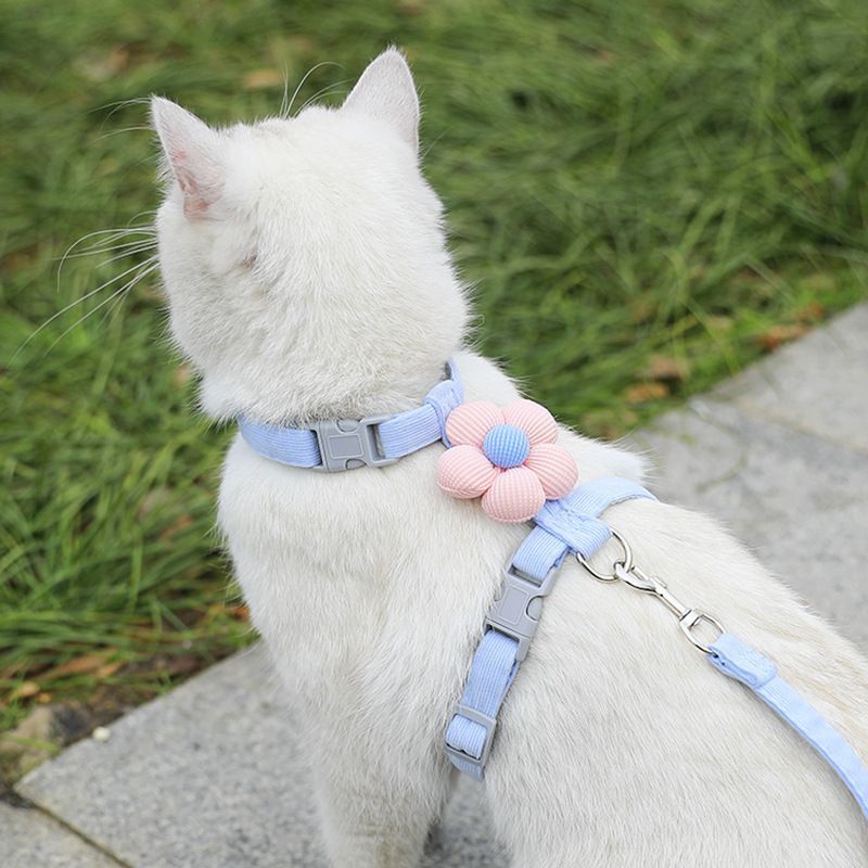 Pet Harness-Blue+1.2m Leash+Size M
