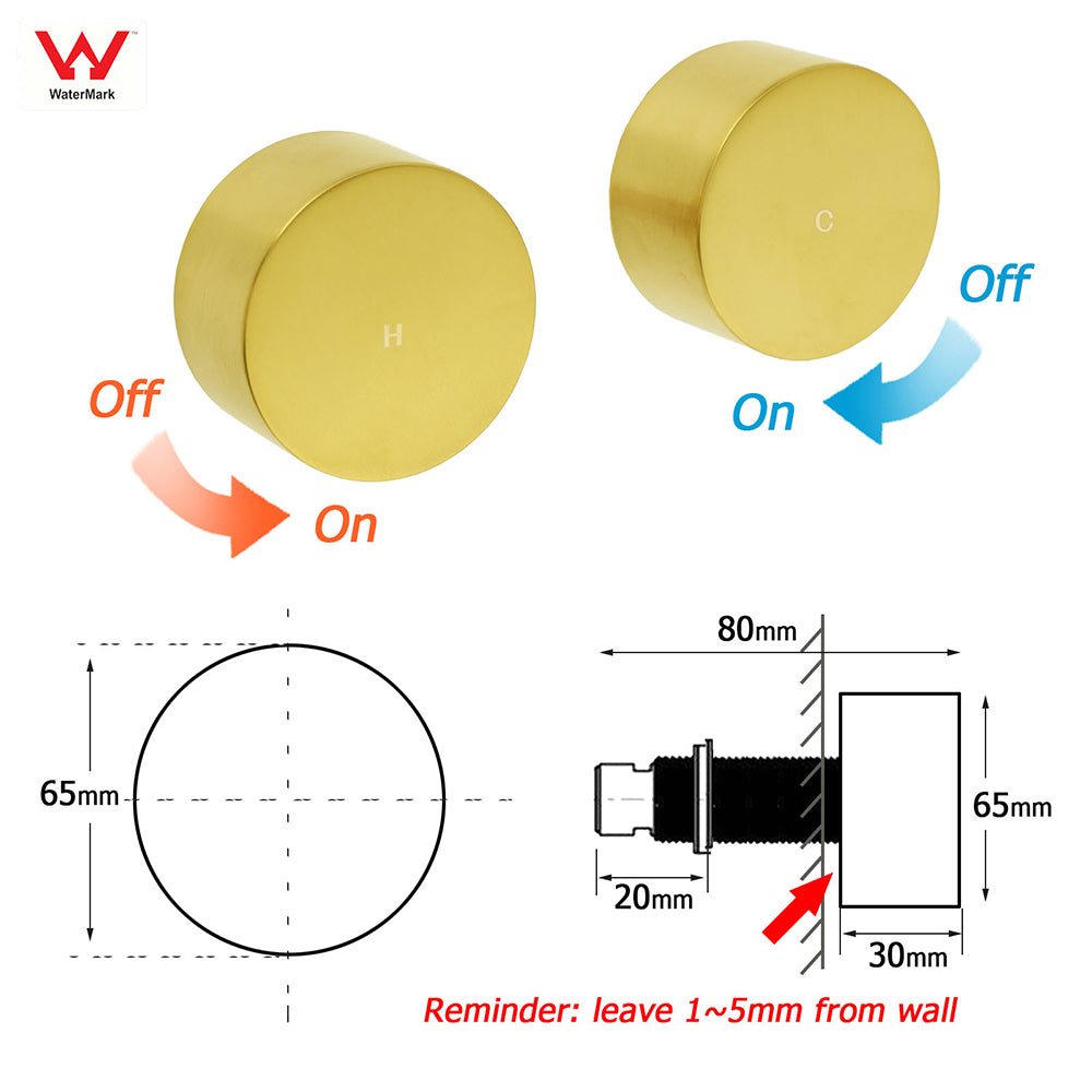 WELS Brushed Gold Round 2in1 Shower Head Set Ergonomic Handheld Gooseneck Arm Twin Taps