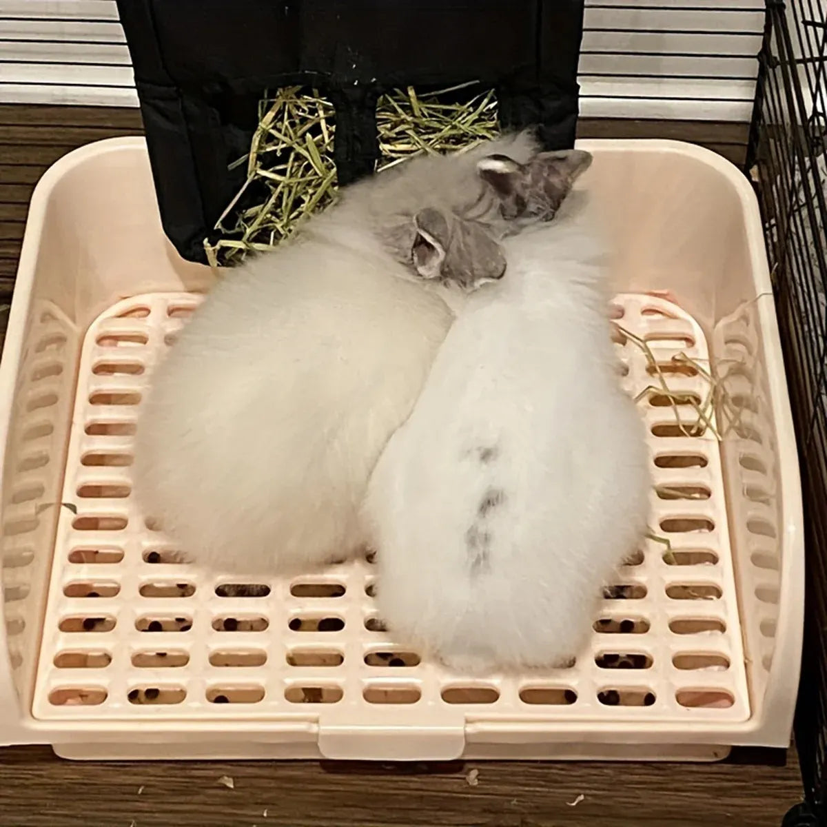 Large Rabbit Litter Box Drawer Corner Toilet for Chinchillas Hamsters Small Pets - Blue