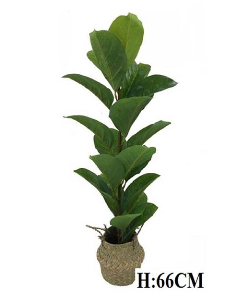 Artificial Decorative Plant in Basket Tree 66cm