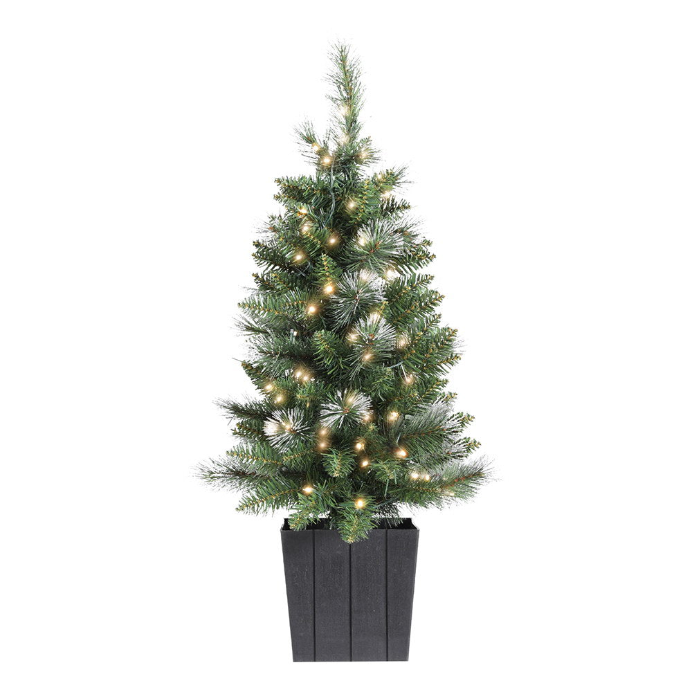 Potted Christmas tree 90cm tall.