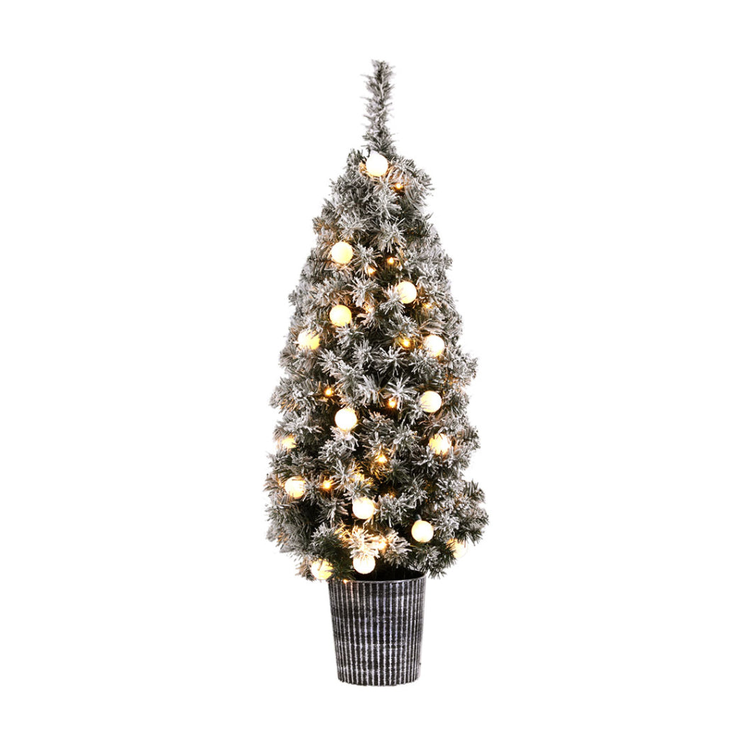 Potted snow-tipped Christmas tree 1.2 metres tall.