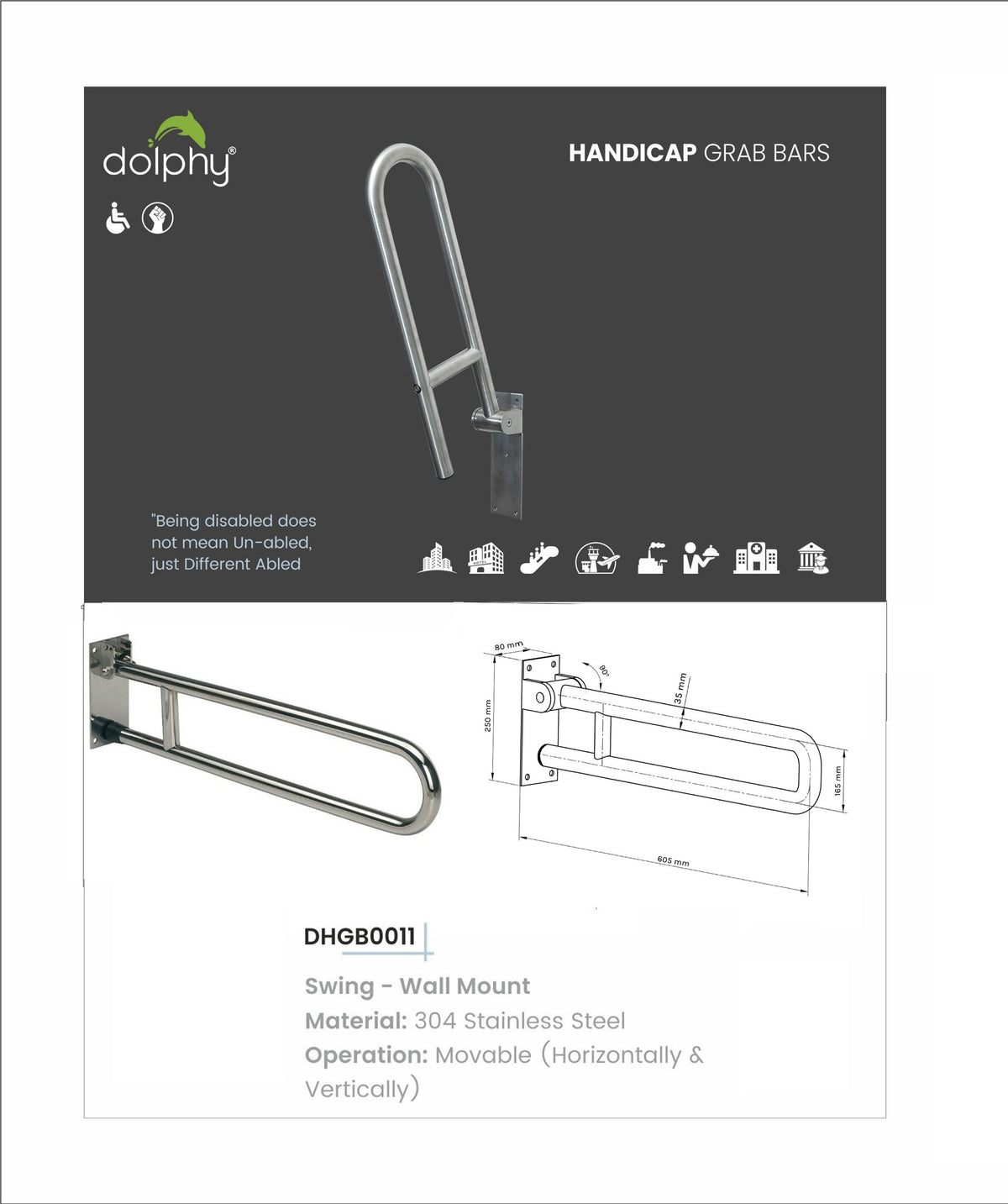 Dolphy handicap grab bar sheet: swing wall-mount, 304 stainless steel, moves horizontally and vertically