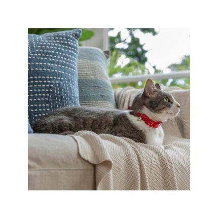 Purina Total Care Red Ruffles Fashion Cat Collar