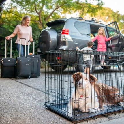 RapidMesh 56 x 63 x 91cm Two Door Pet Carrier