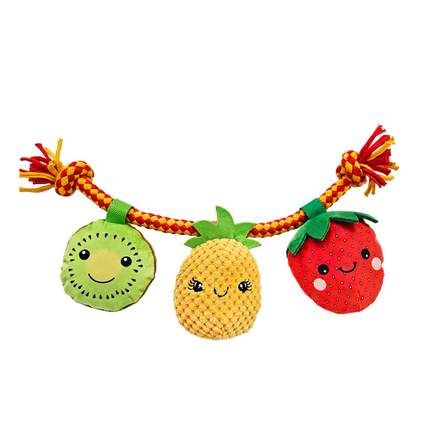 Baxter Bone Summer Fruits On A Rope Pet Toy