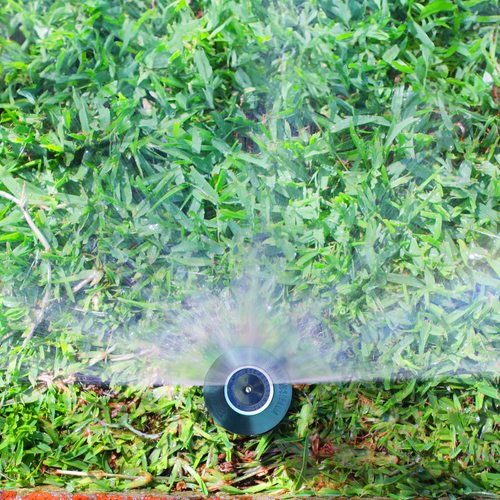 Holman 50mm Fixed Pop Up Sprinkler Half Spray