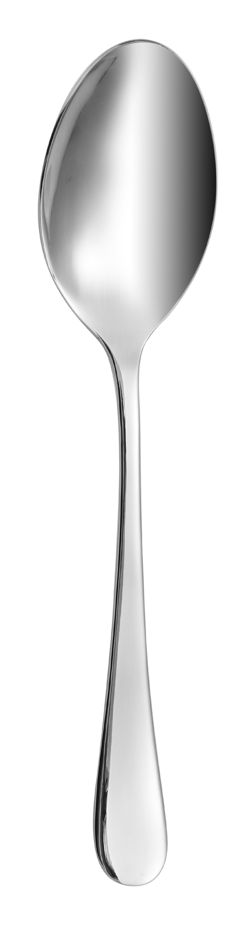 Dolphy Helena Stainless Steel Table Spoon 209mm – 12 Pack Premium 304 Grade Cutlery for Restaurants, Cafés & Catering Use