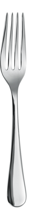 Dolphy Birmingham Stainless Steel Table Fork 201mm, 12 Pack