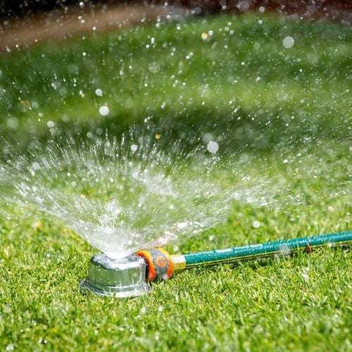 Pope 12mm x 20m Heritage Tap Ready Garden Hose