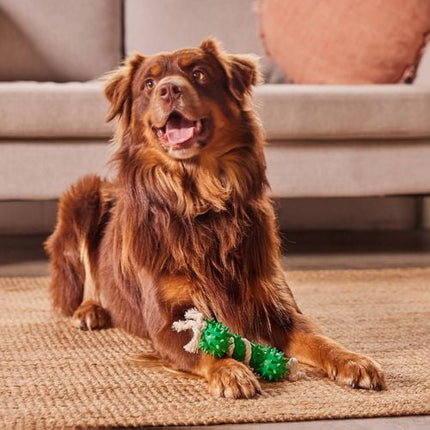 Happy Tails Eco Rope And Rubber Bone Toy