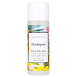 Pacifics Pina Colada Shampoo 30ml