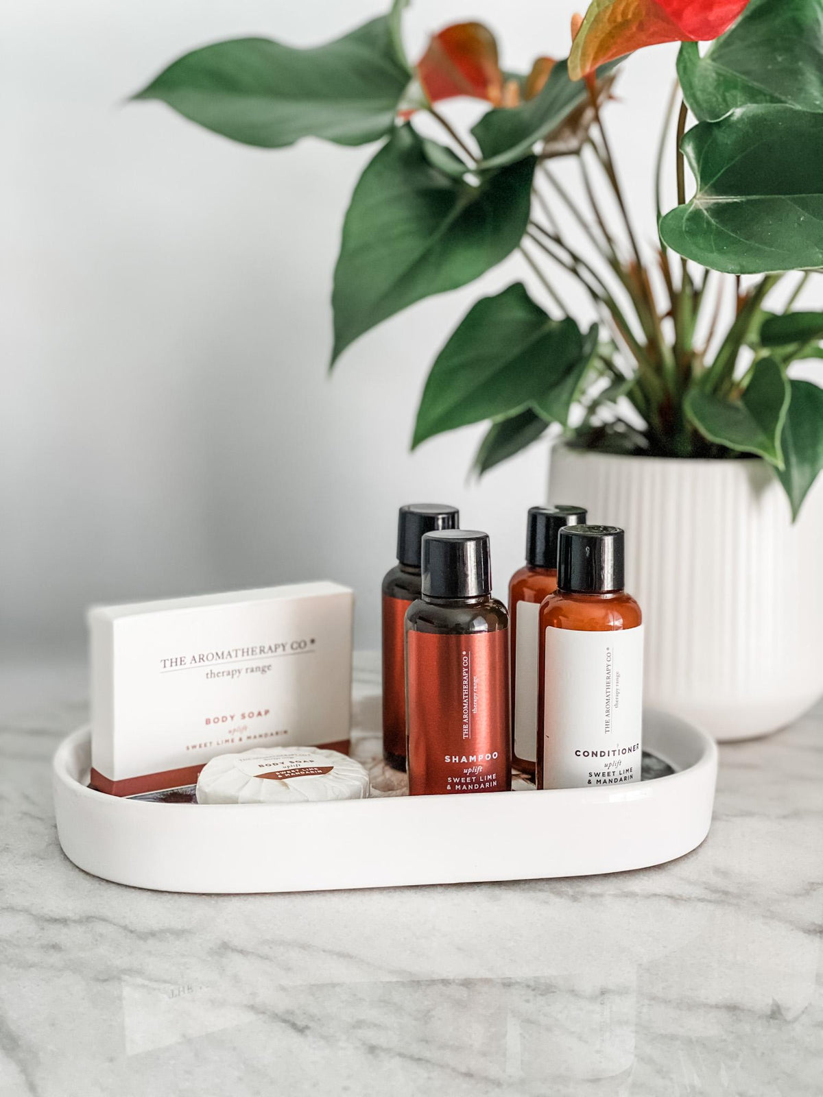 The Aromatherapy Co guest amenity range