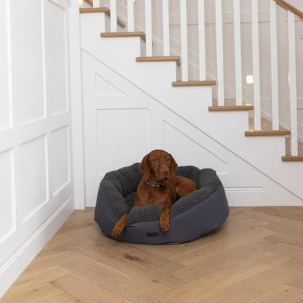 Baxter Bone Large Charcoal All In One Donut Pet Bed