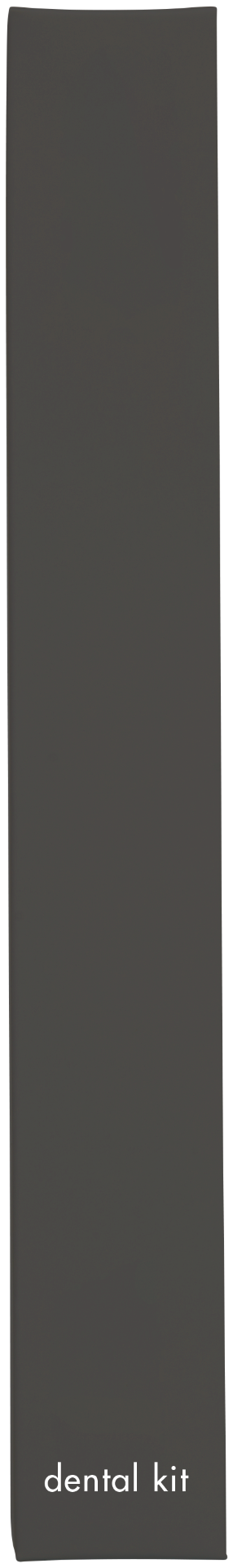 Charcoal Boxed Guest Dental Kit