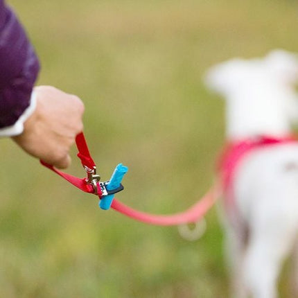 Curli 200 x 2cm Large Black Dog Nylon Adjustable Leash