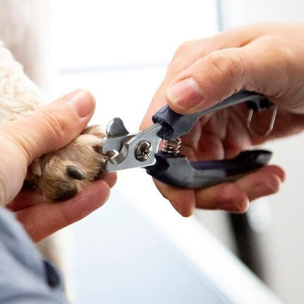 Happy Tails Pet Clippers