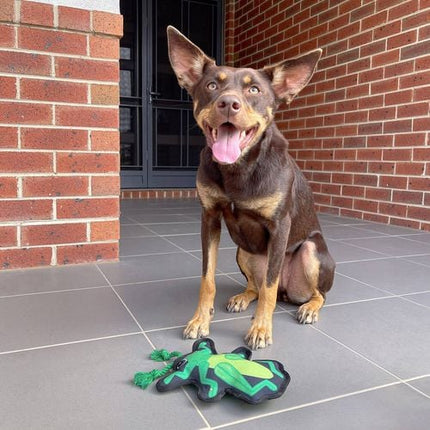 Baxter Bone Grasshopper Dog Toy