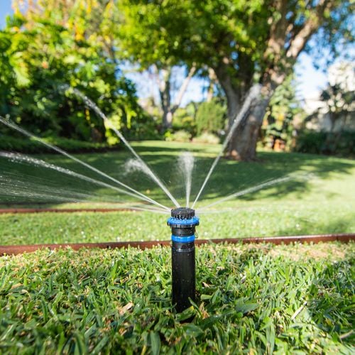 K-Rain 80mm PRO-S Flush Cap Popup Sprinkler