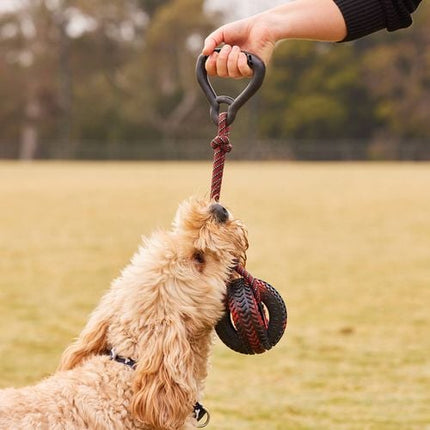 Happy Tails Handle with Ball Rope Toy