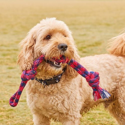 Happy Tails Pink And Blue Braided Rope Toy