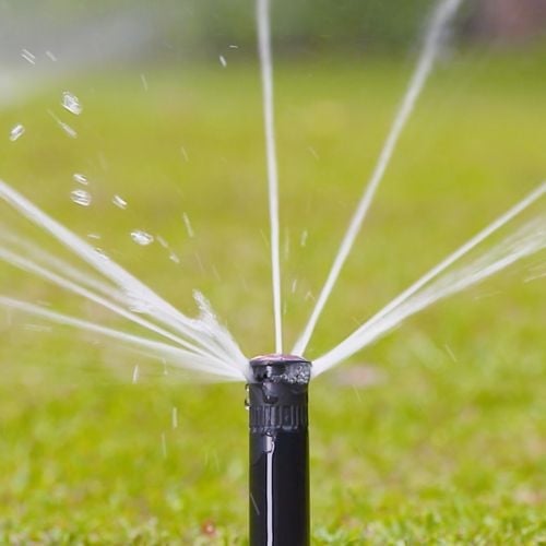Holman 50mm 1/4 Spray Longstream Rotating Pop Up Sprinkler