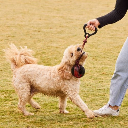 Happy Tails Handle with Ball Rope Toy