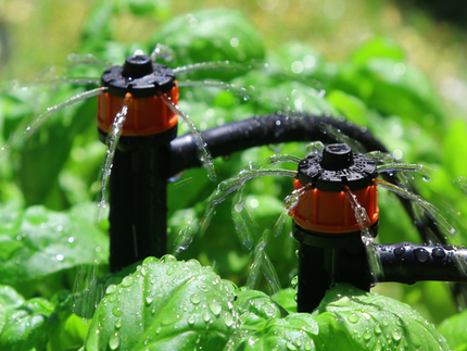 Holman Barbed Drip Irrigation - 5 Pack