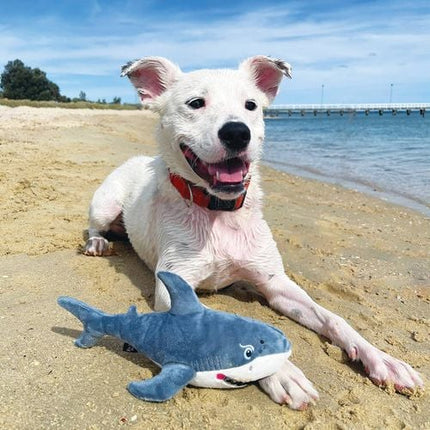 Baxter Bone Cheeky Shark Pet Toy