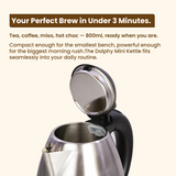 Dolphy 800ml Stainless Steel Electric Kettle – 360 Swivel Base, Fast Boil, Auto Shut-Off, Food-Grade Build, Compact Travel Kettle for Home, Office & Hotel Use – Silver