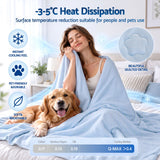 Giselle Cooling Blanket 140cm x 210cm Single Summer Quilt Sleepers Double Sided