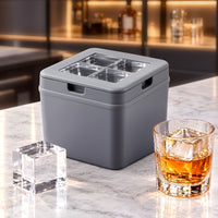 Artiss 5cm clear ice mould for large square ice cubes