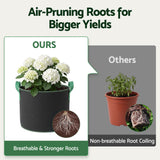 Green Fingers 15 Gallon Grow Bags 300gsm thick Aeration Fabric Pots 10 Pack.
