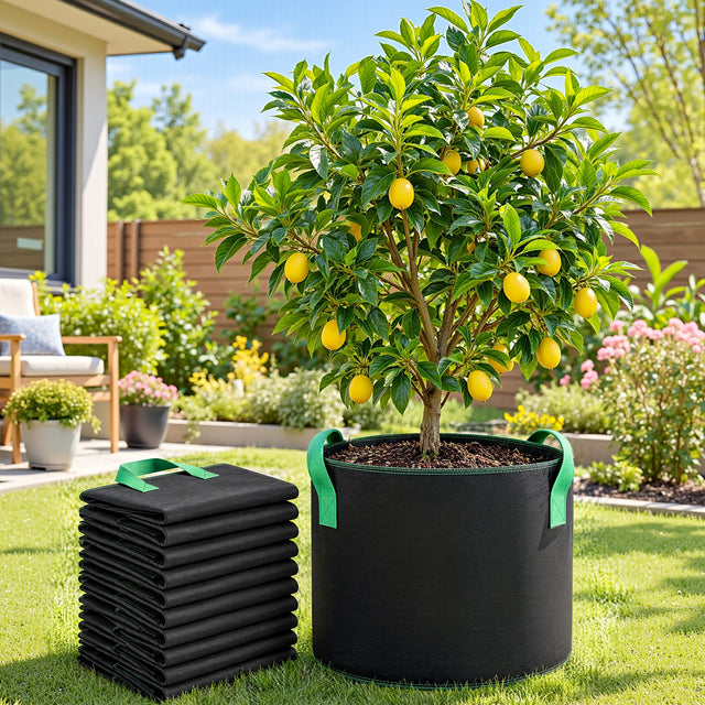 Green Fingers 20 Gallon Grow Bags 300gsm thick Aeration Fabric Pots 10 Pack.
