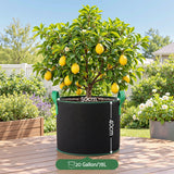 Green Fingers 20 Gallon Grow Bags 300gsm thick Aeration Fabric Pots 10 Pack.