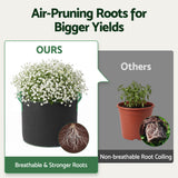 Green Fingers 20 Gallon Grow Bags 300gsm thick Aeration Fabric Pots 10 Pack.