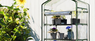 Outdoor & garden