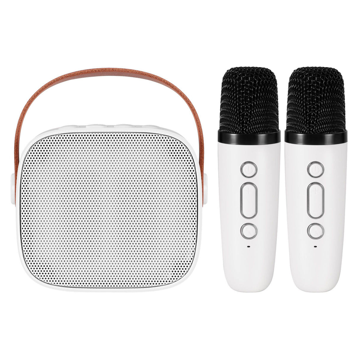 Alpha Mini Portable Karaoke Machine for Adults Kids with 2 Wireless Microphones
