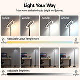 Artiss LED Floor Lamp with Dual Rotating Heads, Dimmable Light and Remote Control Black 20W.